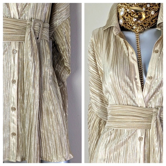 Golden Champagne Shimmery Accordion Pleated Belted Earth Girl "BOHO" Shirt Dress - Picture 3 of 12